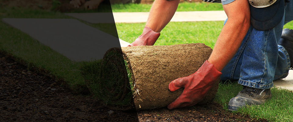 Franklin Landscapers